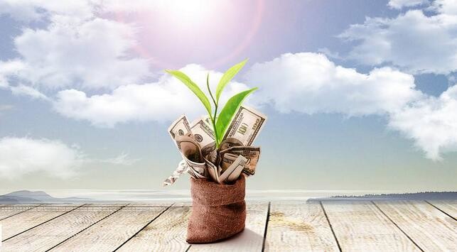 深入解析外汇中的周线:概念、应用与实战技巧